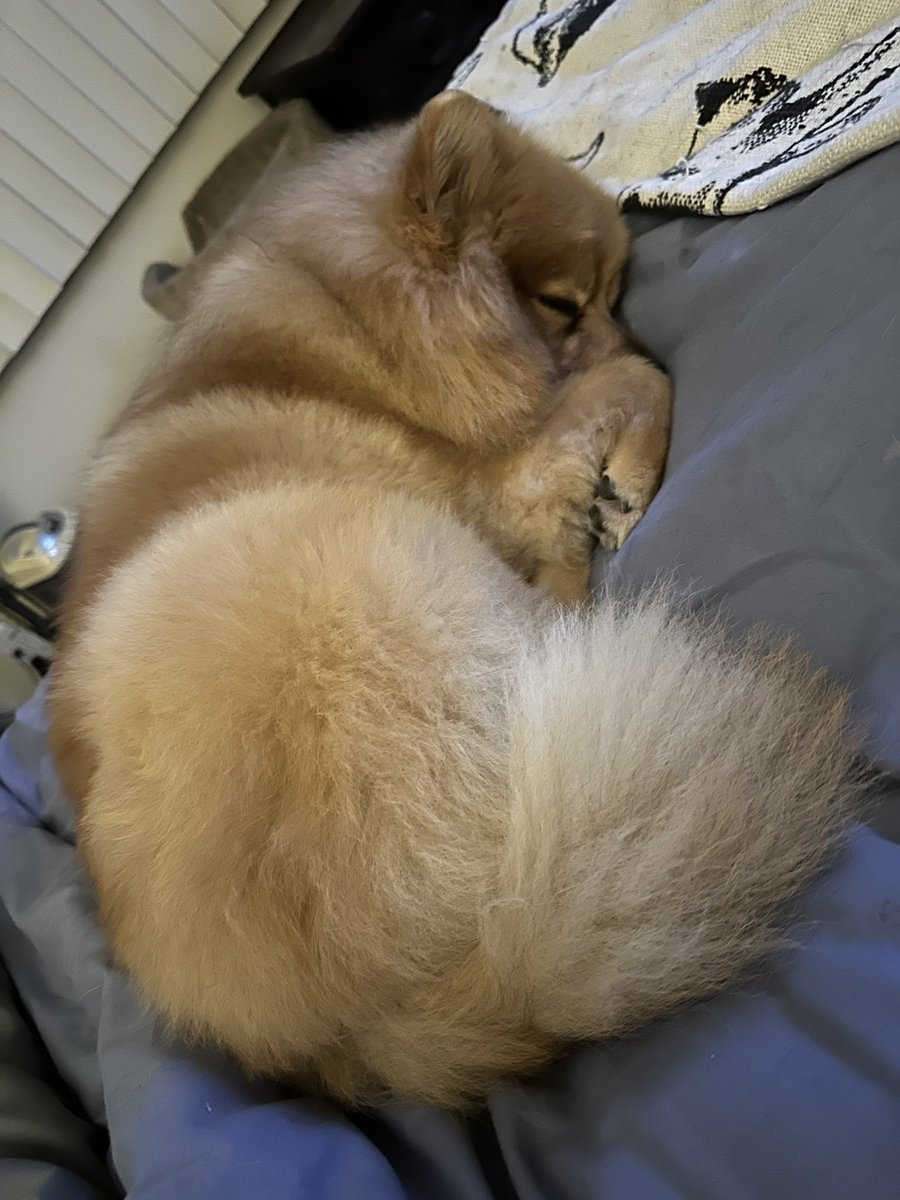 GailRosenthal's tweet photo. Just 5 more minutes… or maybe 10… https://t.co/uS6cIg86dd