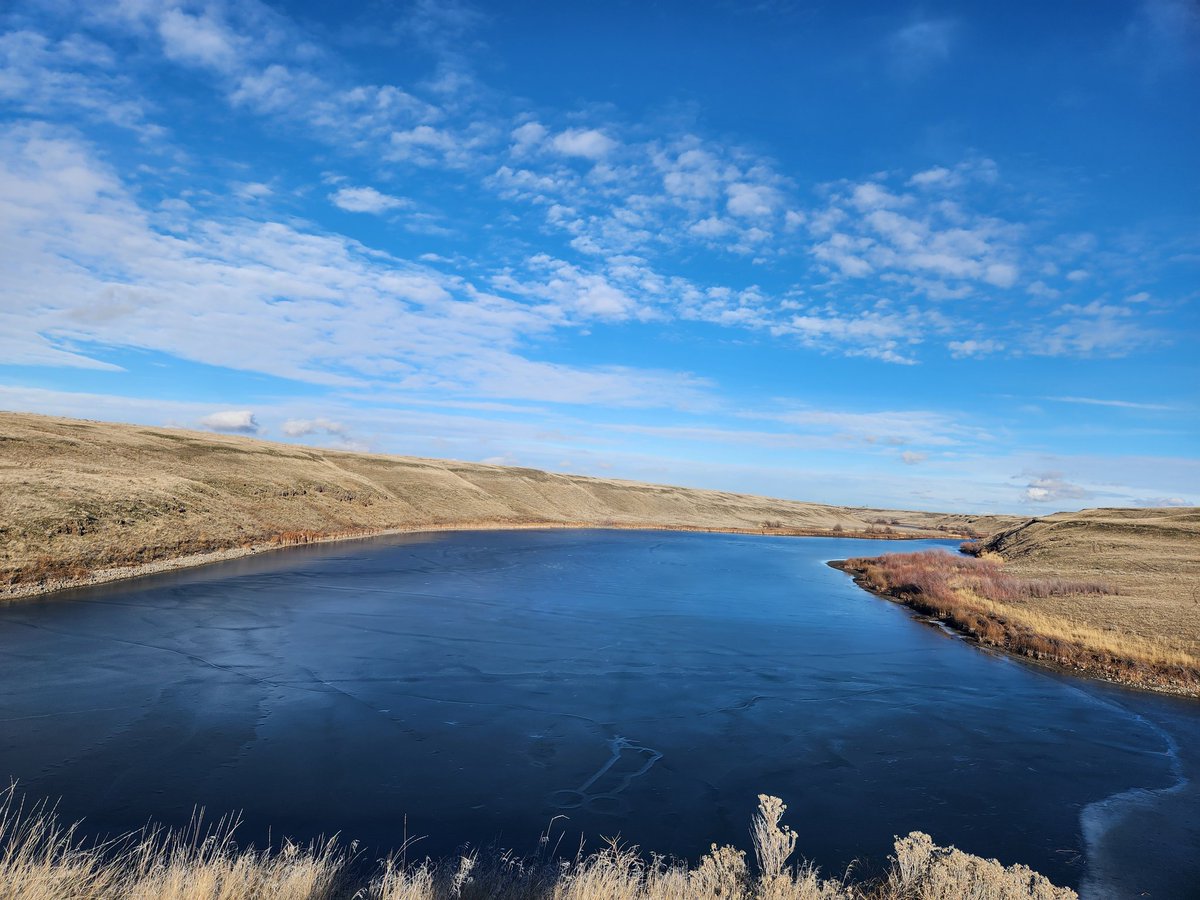 ChaskielB's tweet image. My view from the other day #connell #coxlake #washington #views #nature #hike #livealittle #adventure #mentalhealth