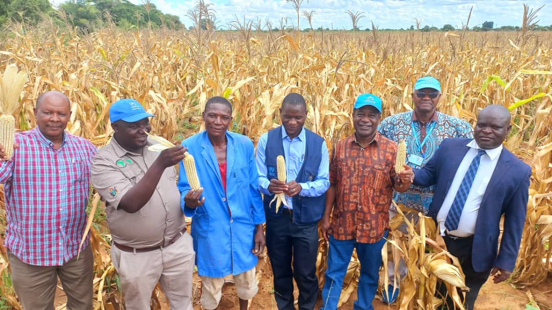 UNHCR Regional Director for Southern Africa <a href="/ValentinTapsoba/">Valentin Tapsoba</a> visited Tongogara Refugee Camp to take stock of how our projects are enhancing refugees’ self-reliance. I thank the government and our donors and partners for supporting these projects and helping refugees thrive.