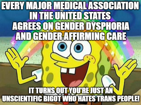 theserfstv's tweet image. 