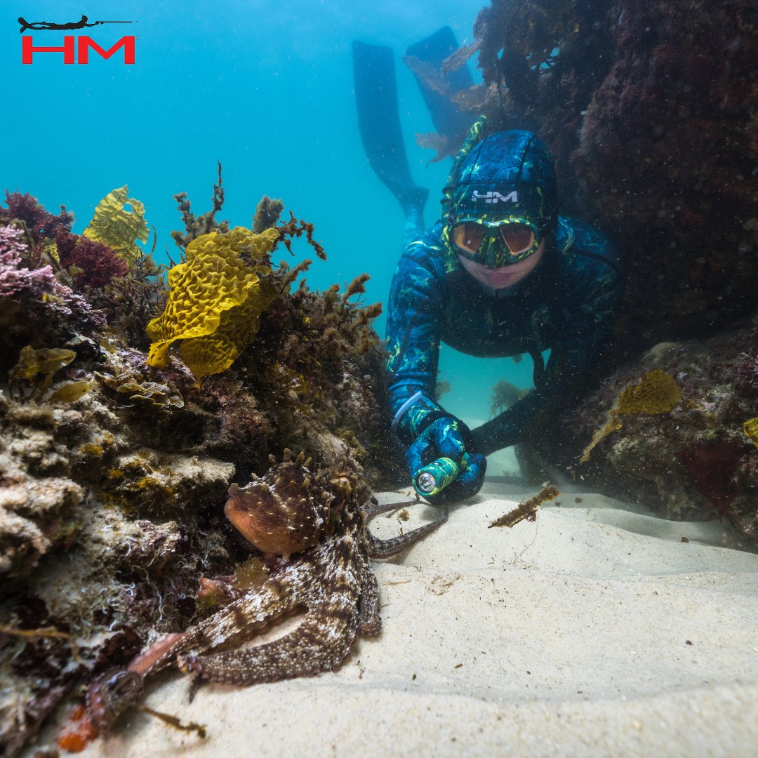 HuntmasterAus's tweet photo. Greeting our friendly ocean neighbours 🙂

#Huntmaster #Spearfishing #FreeDiving #Wetsuit #Speargun #MaskandSnorkel #Snorkel #OnTheHunt https://t.co/fZx3ESJ9j8