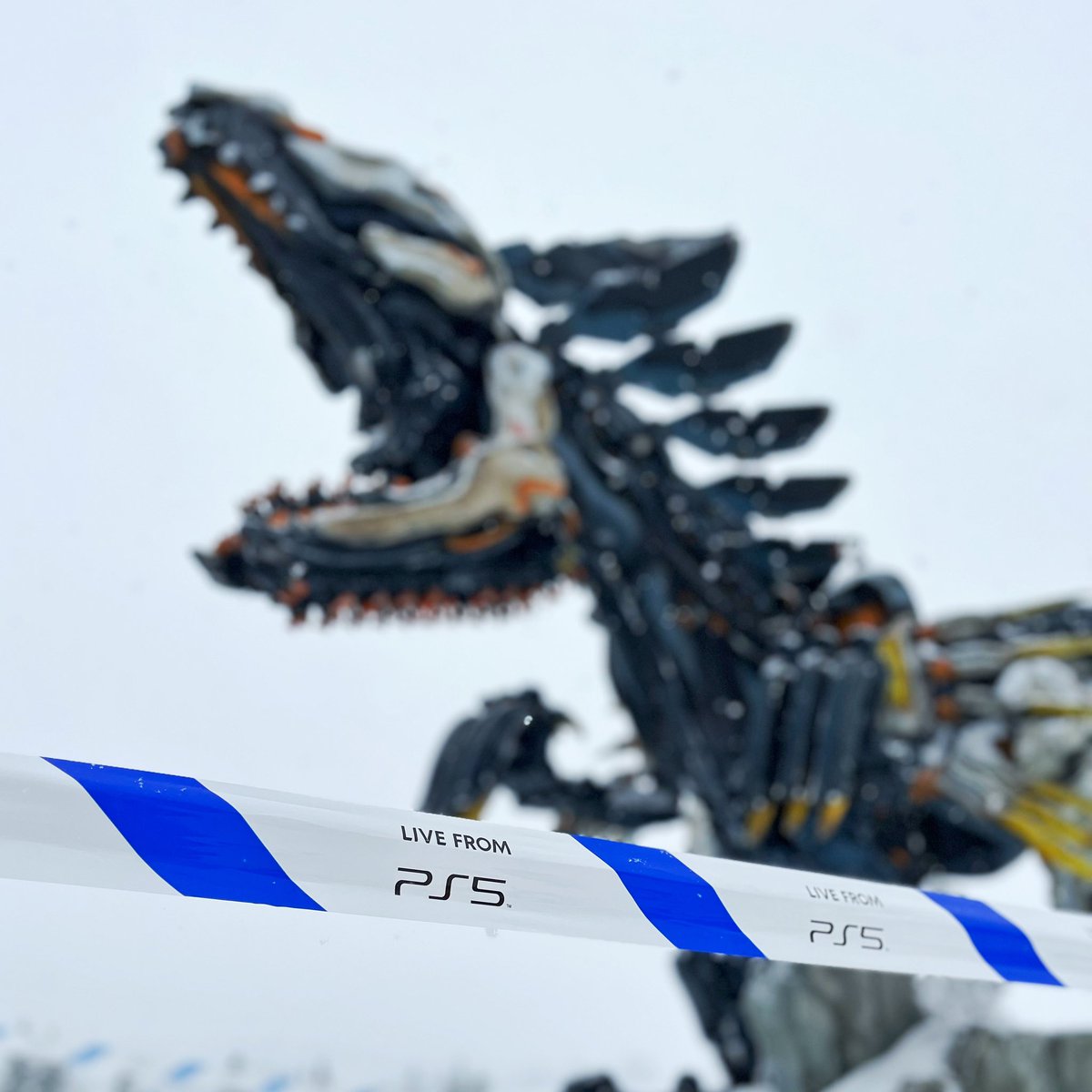 PlayStationPL's tweet photo. PS5 NA ŻYWO: Chyżoszpon widziany na stoku narciarskim w Białce Tatrzańskiej. 

#livefromPS5 https://t.co/MIPKAbO7cw