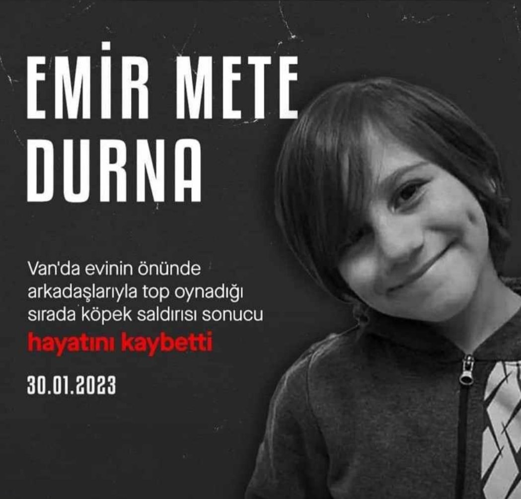 sahindincerrr's tweet photo. Başı boş olan ister it olsun ister yiğit olsun.
Her zaman tehlikelidir.
Çocuklara zarar veren herşeye lanet olsun.
#emirmete
😥 https://t.co/QKkJCsEeTk