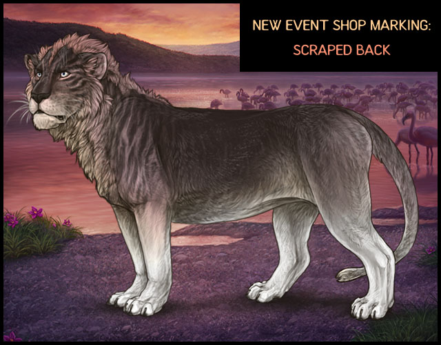 Lioden on Twitter "Look at this handsome boy 😻 This new marking will