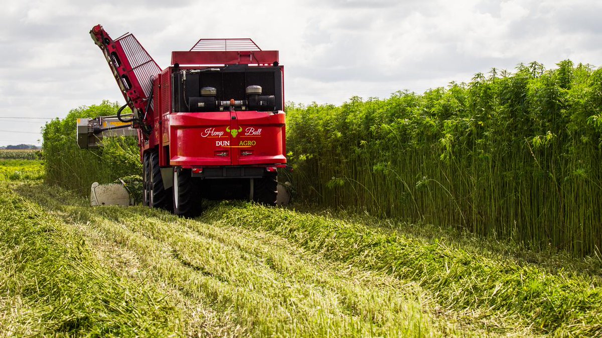 Meteen duurzaam isoleren? #Hennep kan een goede optie zijn ow.ly/riER50MGqzq