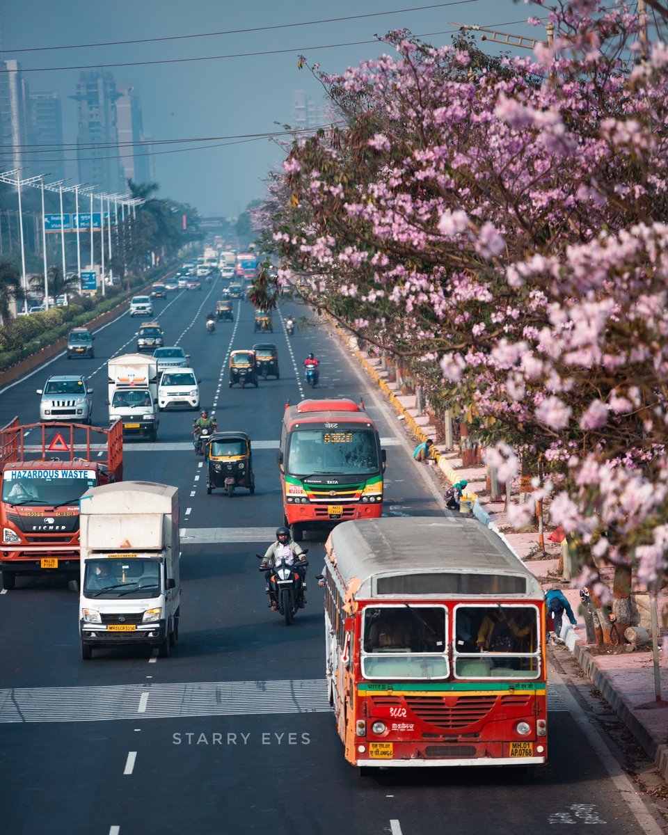 starudyawar's tweet photo. #cherryblossom #vikhroli #pinktrumpettrees #mumbai @incredibleindia #yourlensmh #pinkflowers #natgeoindia @Canon_India @tripoto #tripotocommunity https://t.co/GEAfcWMrOO