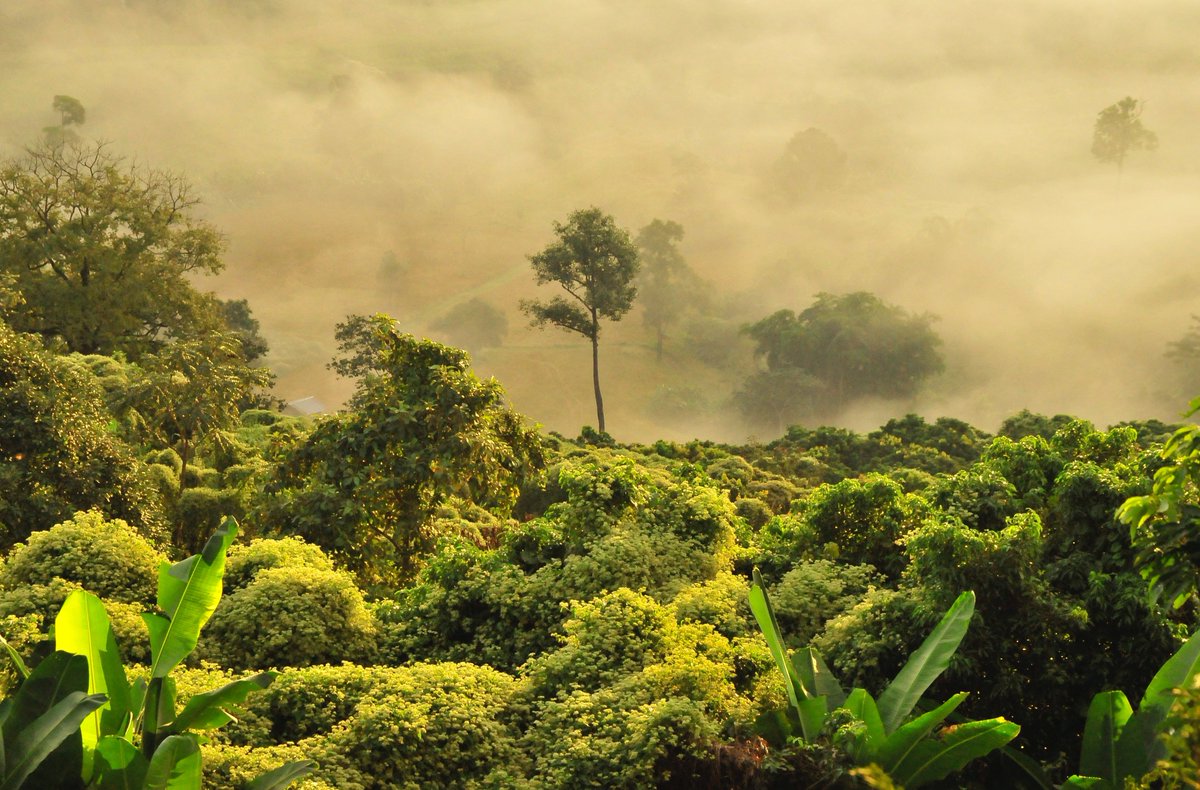 Nature-based Solutions Initiative @UniofOxford (@naturebasedsols) on Twitter photo 🔔 #Job Opportunity🔔
The #NbSI is looking for a new Communications and Outreach Officer to join our team! The deadline to apply is noon on February 28th.
Learn more and apply below ⤵️
naturebasedsolutionsinitiative.org/news/apply-now… 🔔 #Job Opportunity🔔
The #NbSI is looking for a new Communications and Outreach Officer to join our team! The deadline to apply is noon on February 28th.
Learn more and apply below ⤵️
naturebasedsolutionsinitiative.org/news/apply-now…