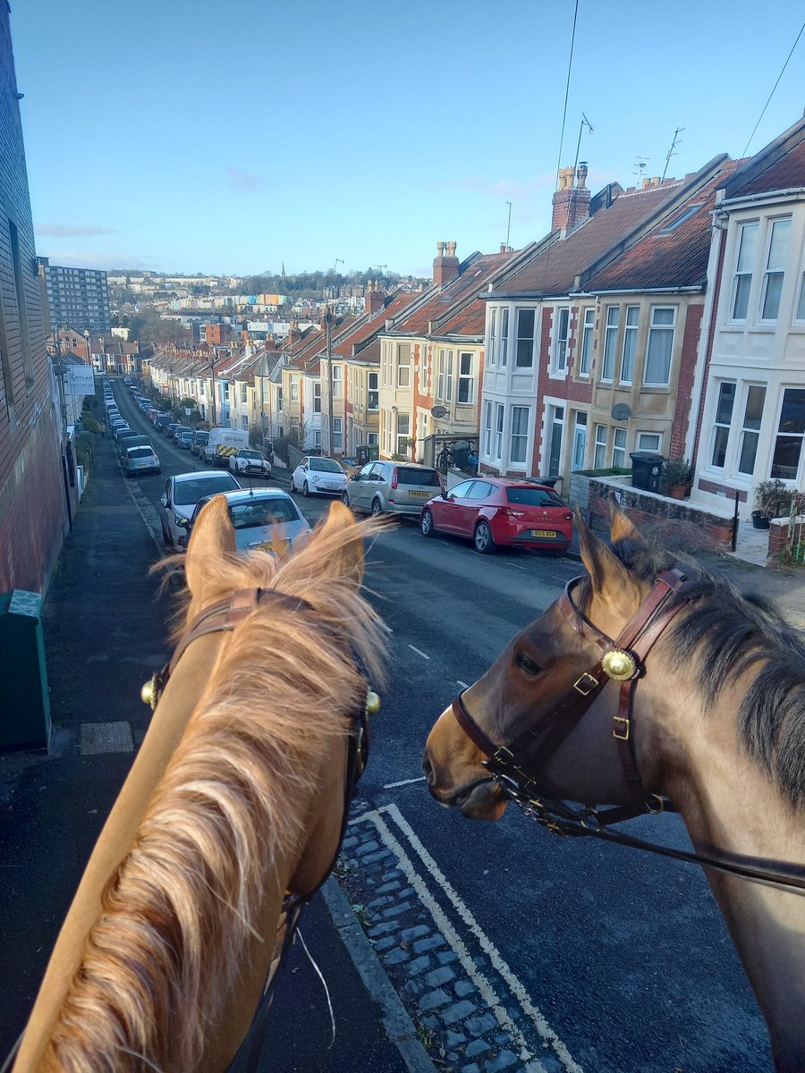 ASPoliceHorses's tweet photo. Oscar and St Michael patrolled Bedminster earlier in the week, it looks like St Michael may have been whispering something to his colleague ๐ด๐ค #iwonderwhathewassaying #communitypatrols https://t.co/NwNkyE8B9c
