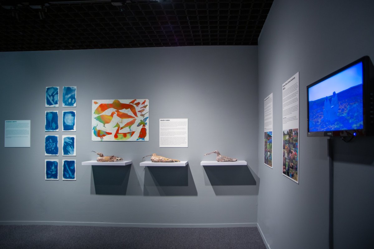 greenplaceNW's tweet photo. 🌳 OUR EXHIBITION IS OPEN! 🌳
Take a sneak peek at Your Green PLACE… Come and see it all at @TullieHouse in #Carlisle! 👀 
#greenplace #greenspace #exhibition #artexhibition #cumbria #natureconnection #environmentalism #sustainability https://t.co/MkpfbU0nDs