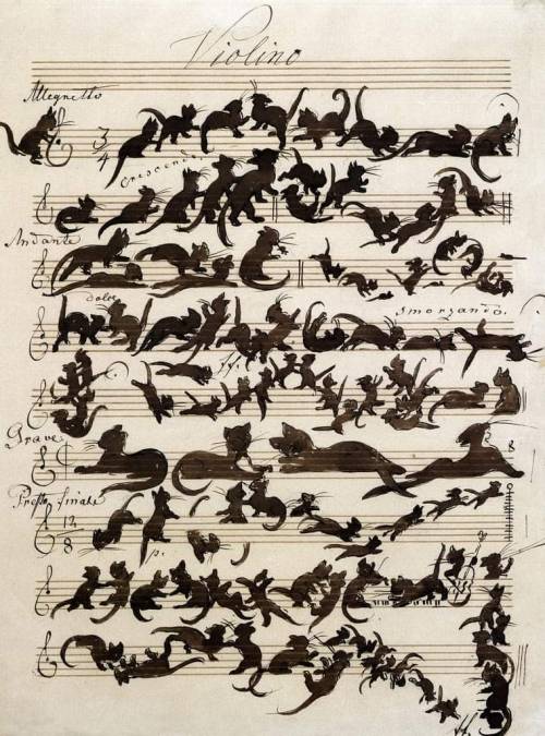 IrenaBuzarewicz's tweet photo. Moritz von Schwind, Die Katzensymphonie https://t.co/sieyQ4gWth