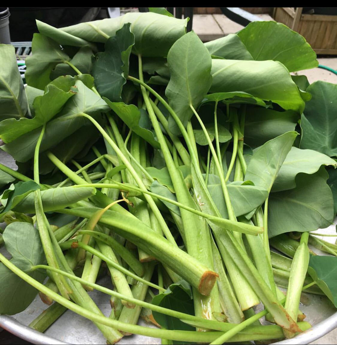 Central London Youth Development tweet media