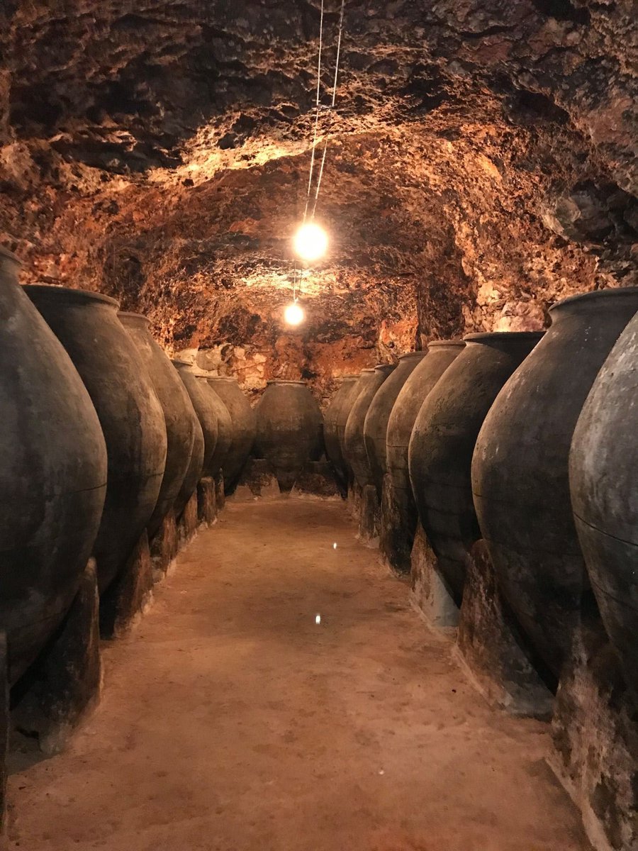 BodegasPeral's tweet photo. Un lugar donde el placer reside en dejarse impregnar por los aromas de los rincones de nuestra bodega, una experiencia que nunca olvidaréis, créenos. ¿Te apuntas? 🍷😊
Escoge el pack que mejor se adapte a tus gustos 👉👉 https://t.co/IjF5XLlBaJ
#bodegasperal #colmenardeoreja https://t.co/KWGicvcsU0