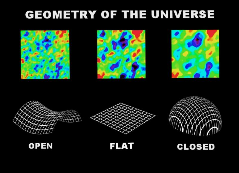 what shape is art history?