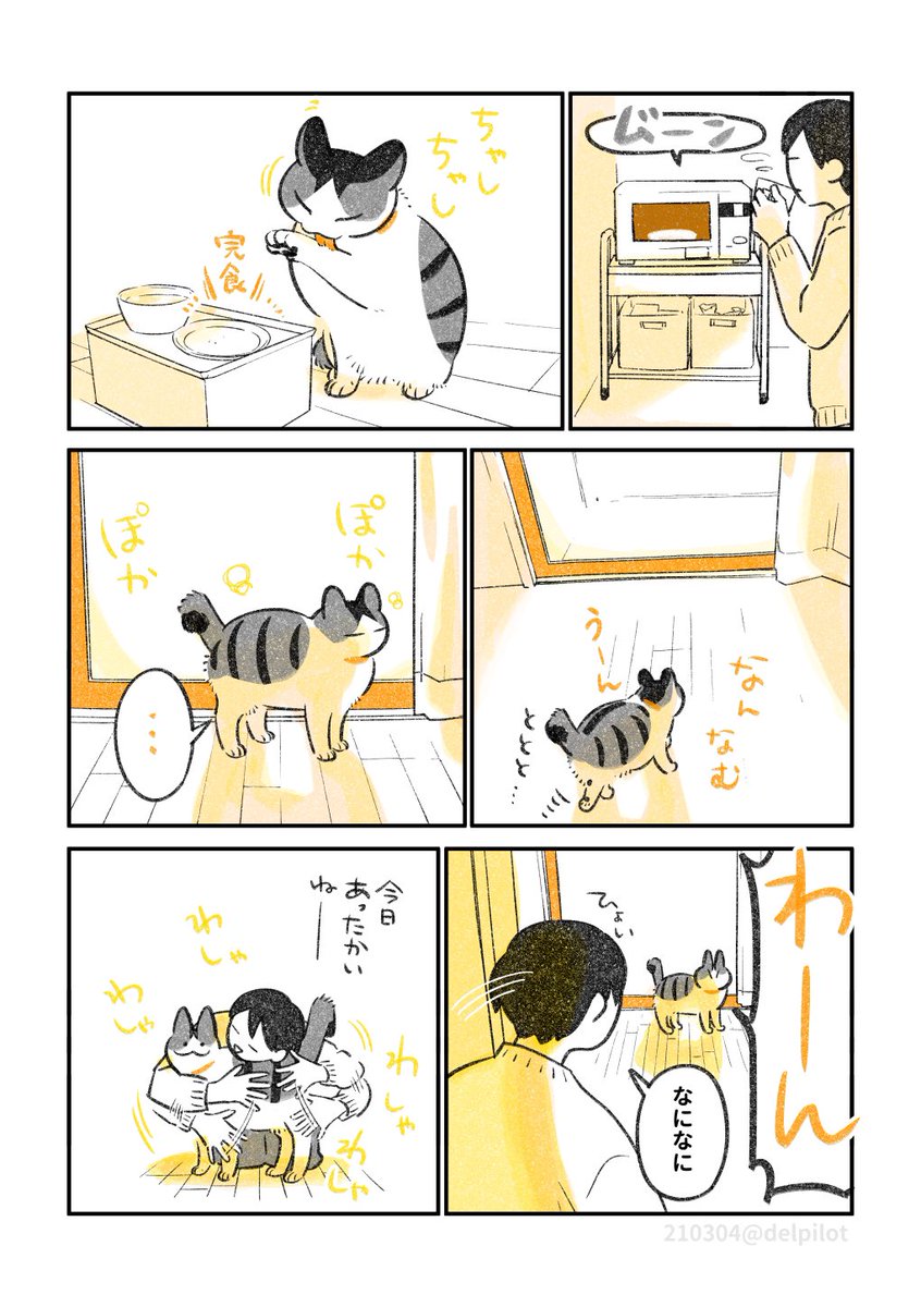 猫と昼ごはん
(『じじ猫くらし2』より再掲) 