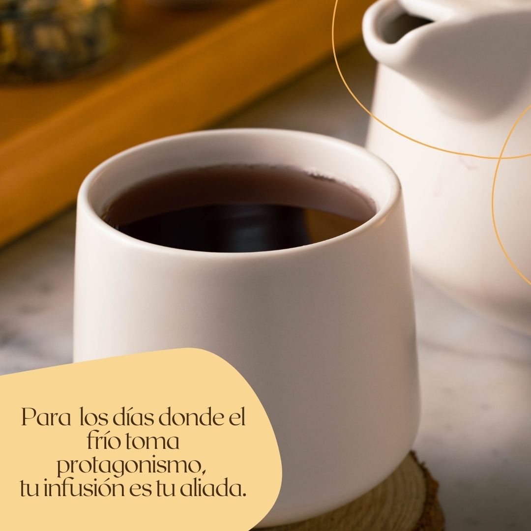 anytime_teatime's tweet photo. Para días grises, de lluvia y con mucho frío... la solución es sin duda una infusión bien calentita ❄️ ¡Un aliado reconfortante e infalible!. 🍵
#tea #té #thatstea #tealover #anytimetea #frío #salud https://t.co/16Z1xGmu0g