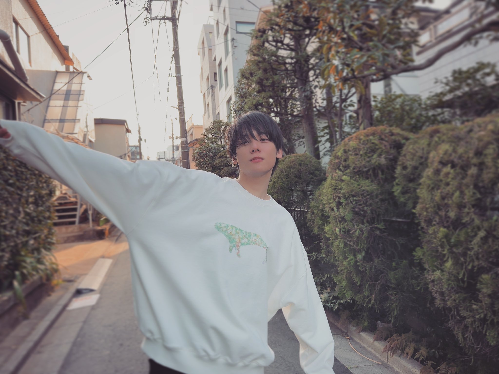 宮川大聖 / みやかわくん on X: 
