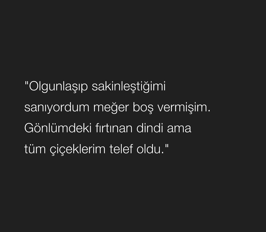 tumblr. (@theistumblr) on Twitter photo 