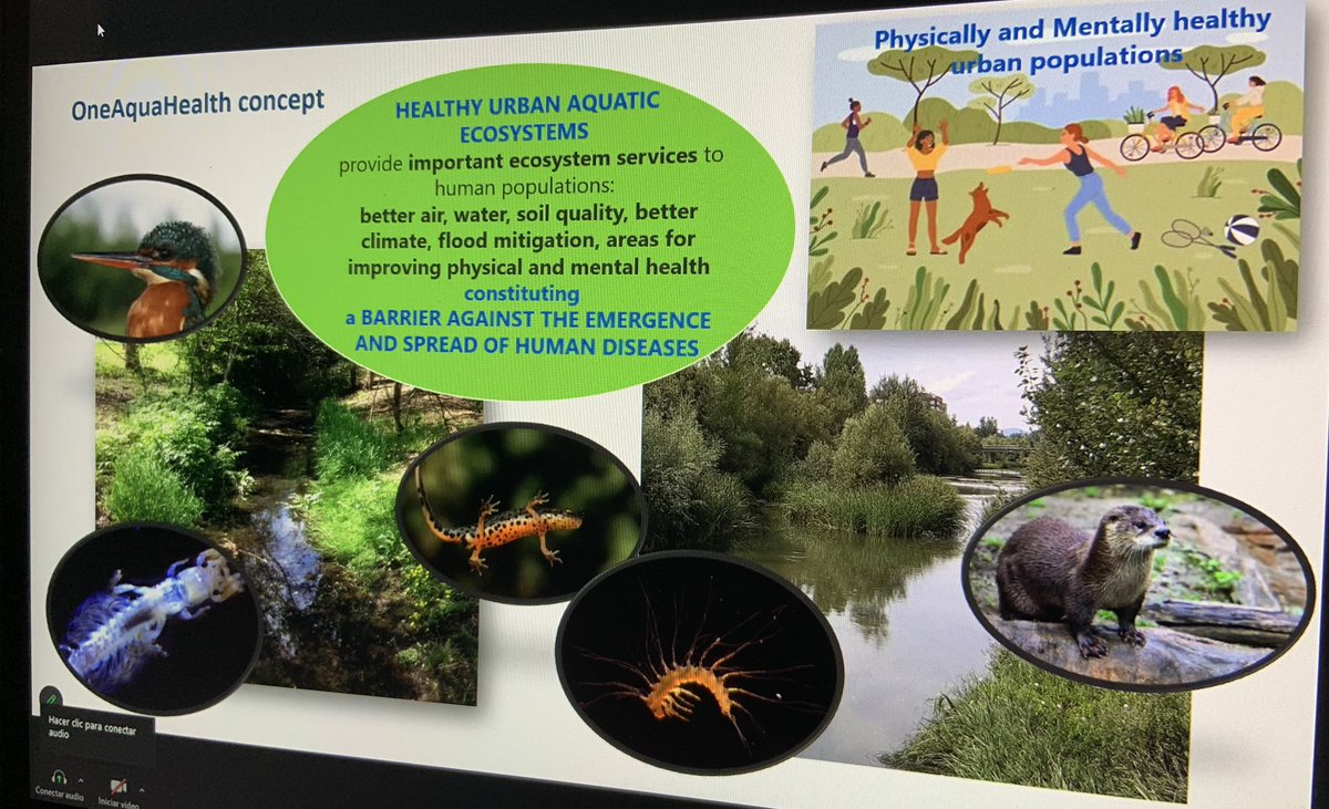 WiseAngle1's tweet photo. Lovely to be in Coimbra today with the full team and many friends and colleagues from all over Europe to kick off @OneAquaHealth🤩

5 cities, lots of experts &amp; an exciting challenge ahead of us: how to protect healthy urban aquatic ecosystem to promote #OneHealth #HorizonEU https://t.co/7rbaDClKMj
