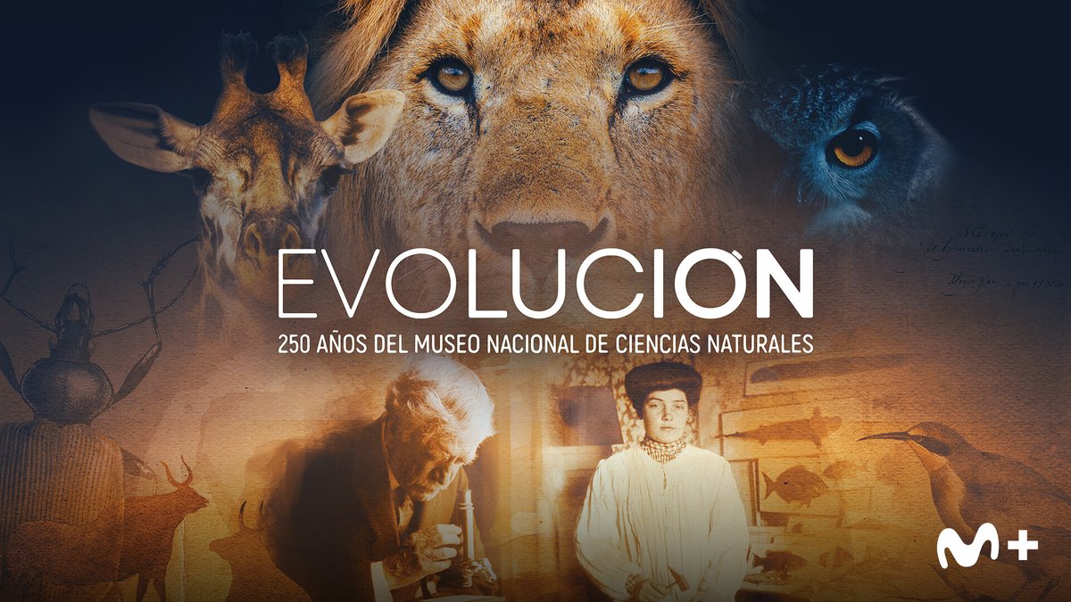 lamaslista_'s tweet image. El mes de febrero viene cargadito de #DocusEn0. Apúntatelos para no perderte ni uno.😉 

X1 👉Sin miedo: mujeres contra Putin.
J2 👉Evolución. 250 años del Museo Nacional de Ciencias Naturales.
L6 👉Jack el destripador: Caso abierto.
M7 👉Conquistando el cielo.