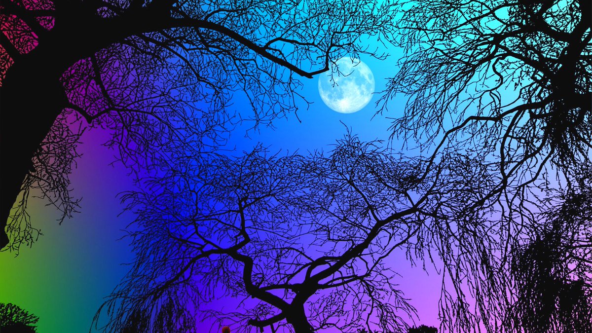 manuelaforster's tweet image. Ihr mögt es vielleicht noch nicht auf dem Schirm haben aber der nächste Vollmond baut sich schon auf.   Er wird uns übrigens im Feuerzeichen Löwe seine Aufwartung machen und ihr könnt sicher sein, da wird die Lunte brennen. #Selbstwert #Selbstannahme #Selbstermächtigung #Heilung