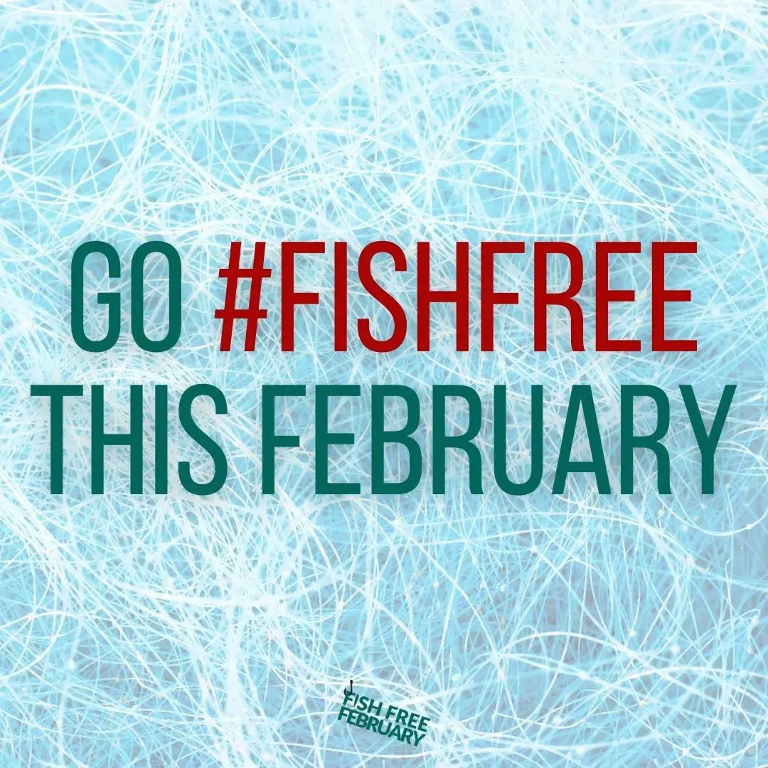 Justice4Jaws's tweet image. February means it's #FISHFREEFEBRUARY 🐟🦞🦑🐟

𝟲𝟬𝟬𝟬𝟬𝟬 tonnes of this fishing gear is lost or left in our oceans each year!
𝟳𝟭% decline in abundance of oceanic shark and ray species since 1970s!

Let us know if you will go #fishfree this Feb in the comments!