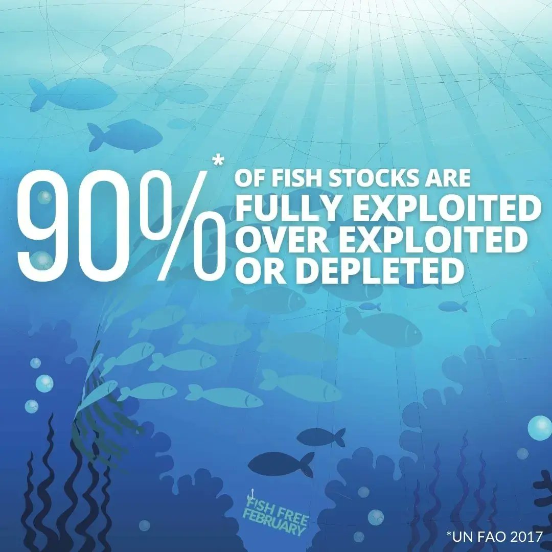 Justice4Jaws's tweet image. February means it's #FISHFREEFEBRUARY 🐟🦞🦑🐟

𝟲𝟬𝟬𝟬𝟬𝟬 tonnes of this fishing gear is lost or left in our oceans each year!
𝟳𝟭% decline in abundance of oceanic shark and ray species since 1970s!

Let us know if you will go #fishfree this Feb in the comments!