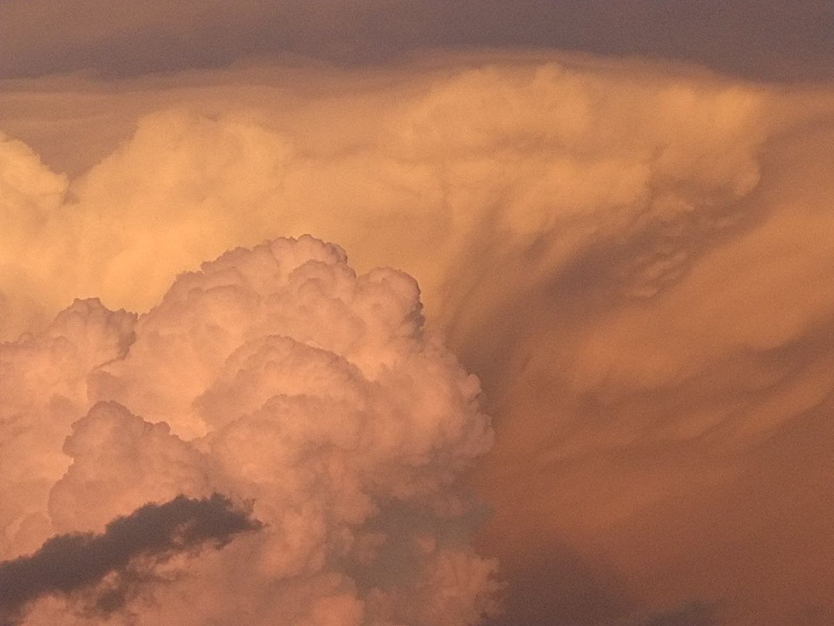 𝙈𝙊𝙊𝙎𝙀 tweet media