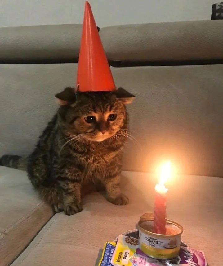 Alexa play happy birthday by mac miller 