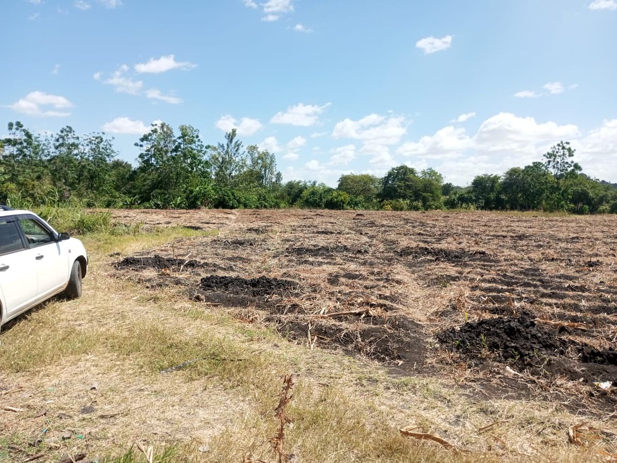 agrealafrica's tweet image. At Machakos county with a happy client. Delivered and Delighted! Our pixie orange seedlings have exceeded our expectations, and we can&apos;t wait for more of you to experience the joy of growing your own fruit. Order now!
#Farmingforfuture
