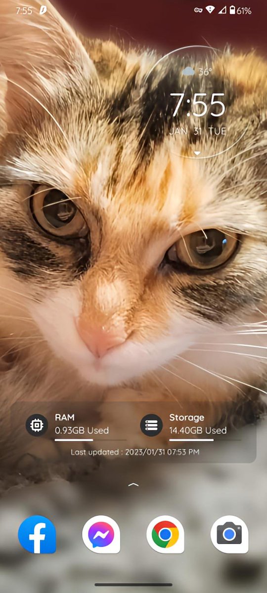 #cats #CatsLover #CatsOfTwitter #CatsOfTwitter #CatsOnTwitter