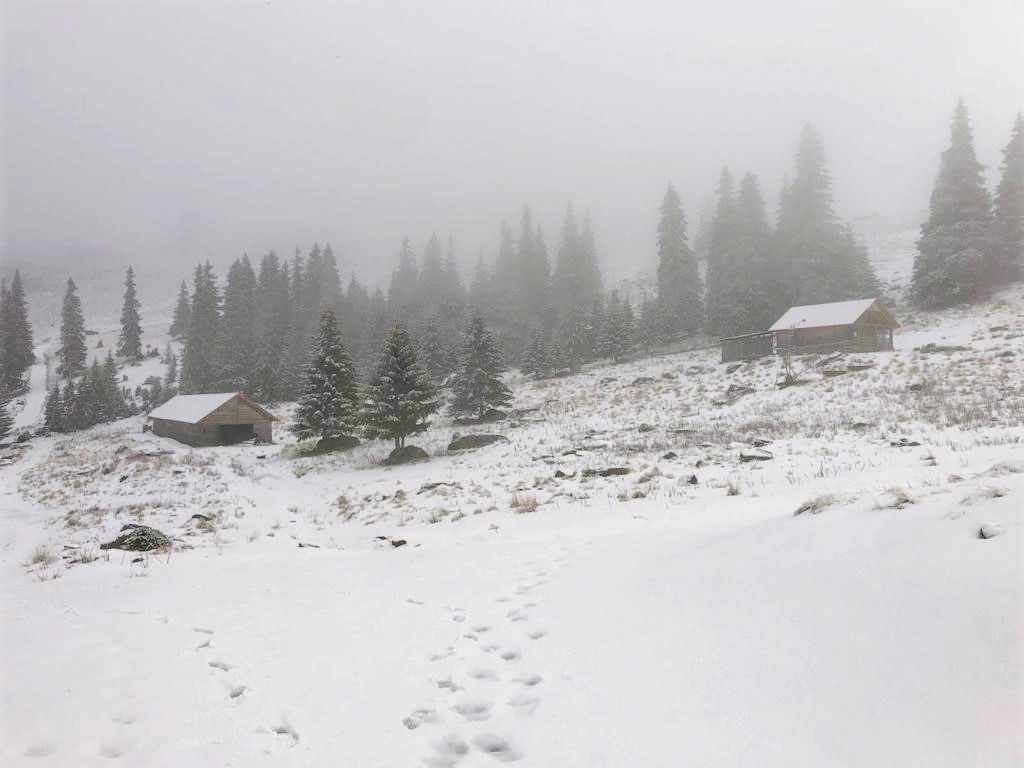RNP_Romsilva's tweet photo. Poze recente din Parcul National Muntii Rodnei cu munții și păduri mângâiate de zăpadă.
#Rodna #Romanian #mountains #snow #WINTER #NaturePhotography #naturelovers #NationalParks https://t.co/YjcKpSvZXW