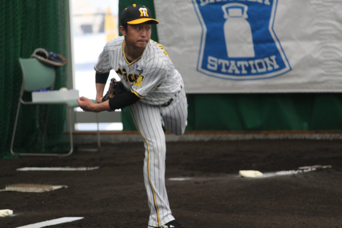 井坪陽生 チャンピオン レプリカ ユニフォーム Mサイズ 阪神タイガース 井坪陽生 チャンピオン レプリカ ユニフォーム Mサイズ 阪神タイガース