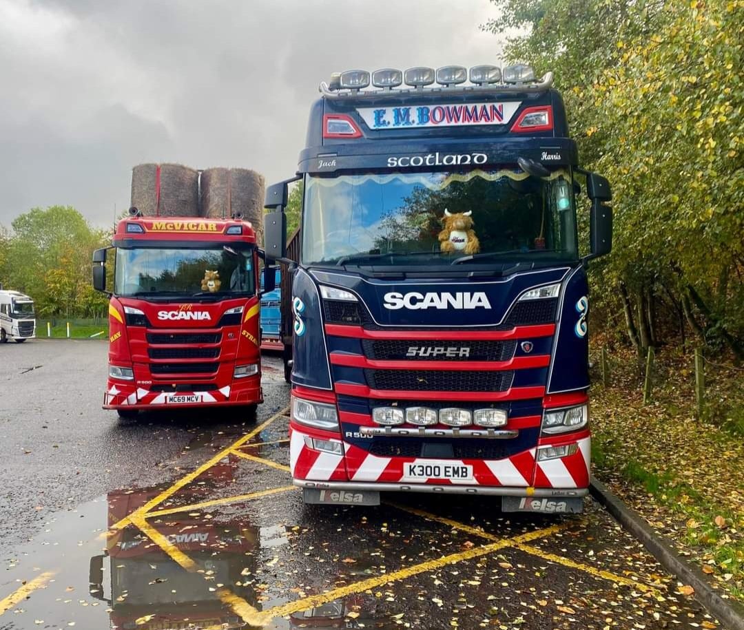 Girl Torque tweet media