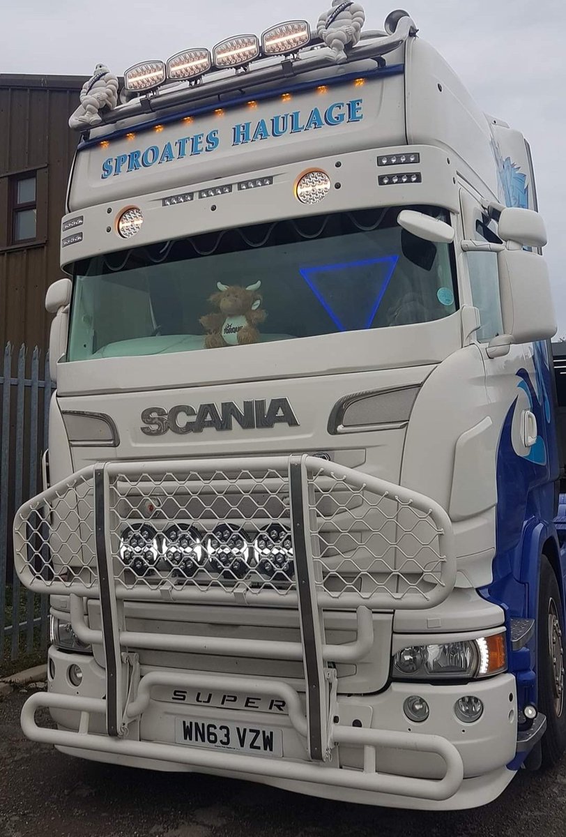 Girl Torque tweet media