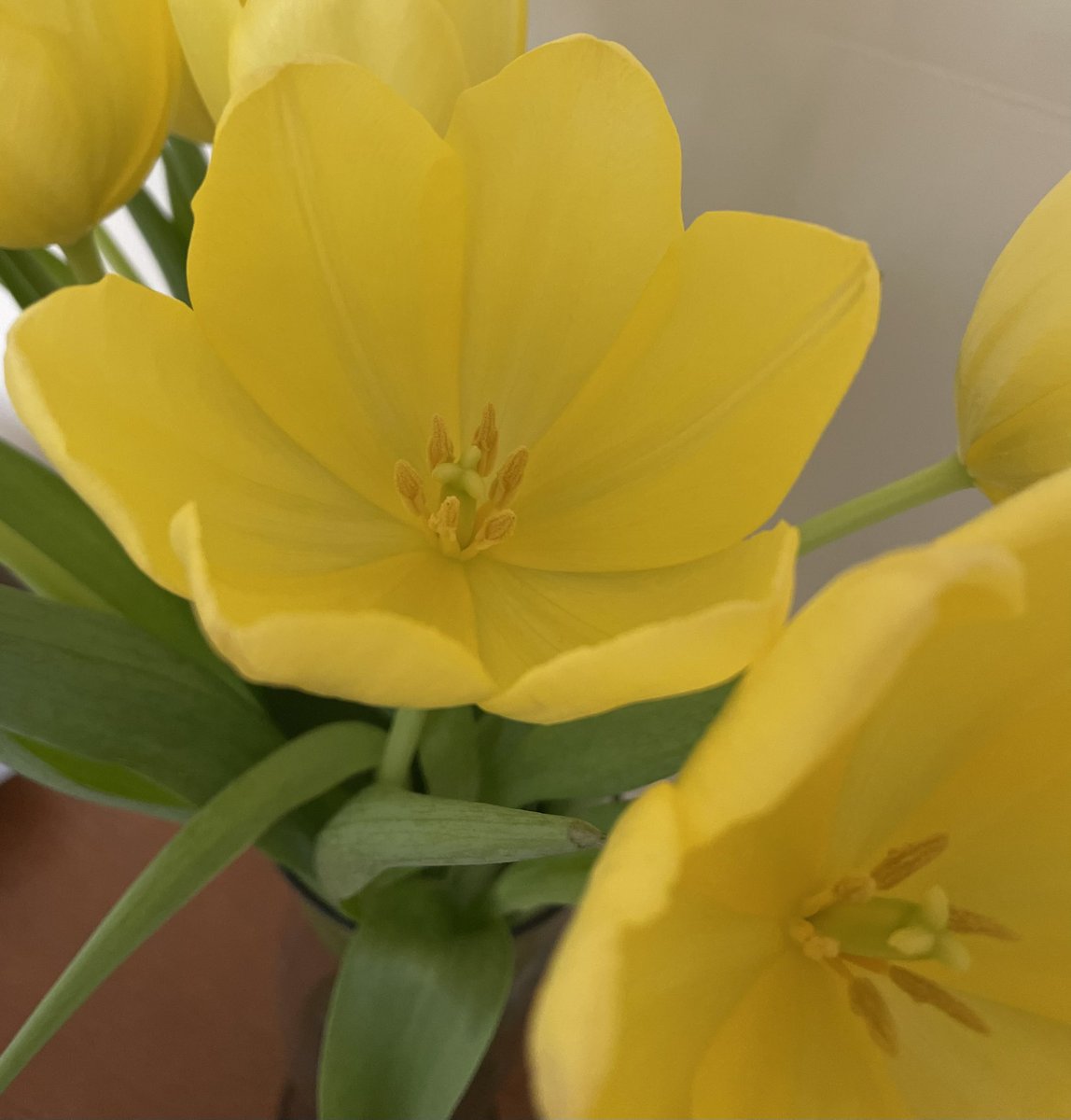 Dr Erin Gill tweet media