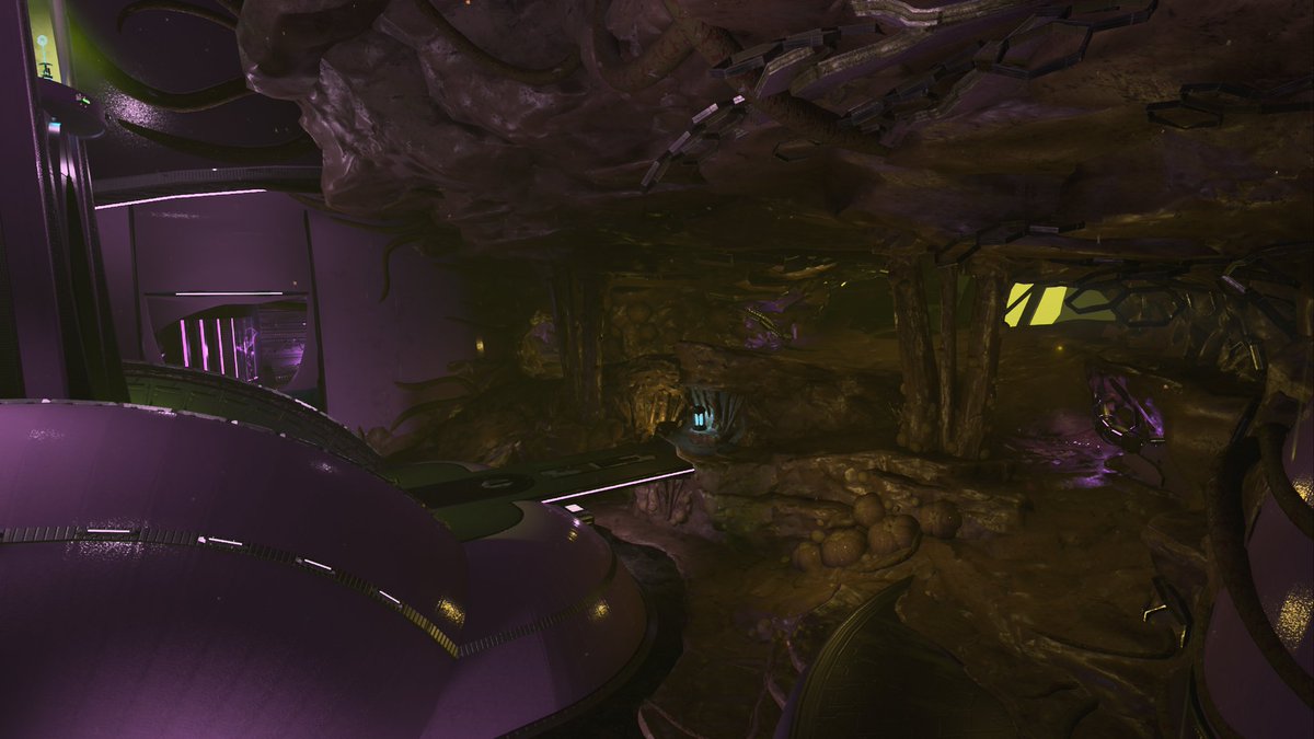 CertifiedChamp tweet media