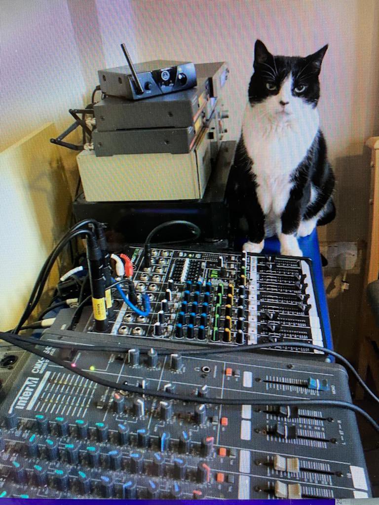 #WednesdayMotivation no, it was the other cat who muted the Vicar’s microphone
