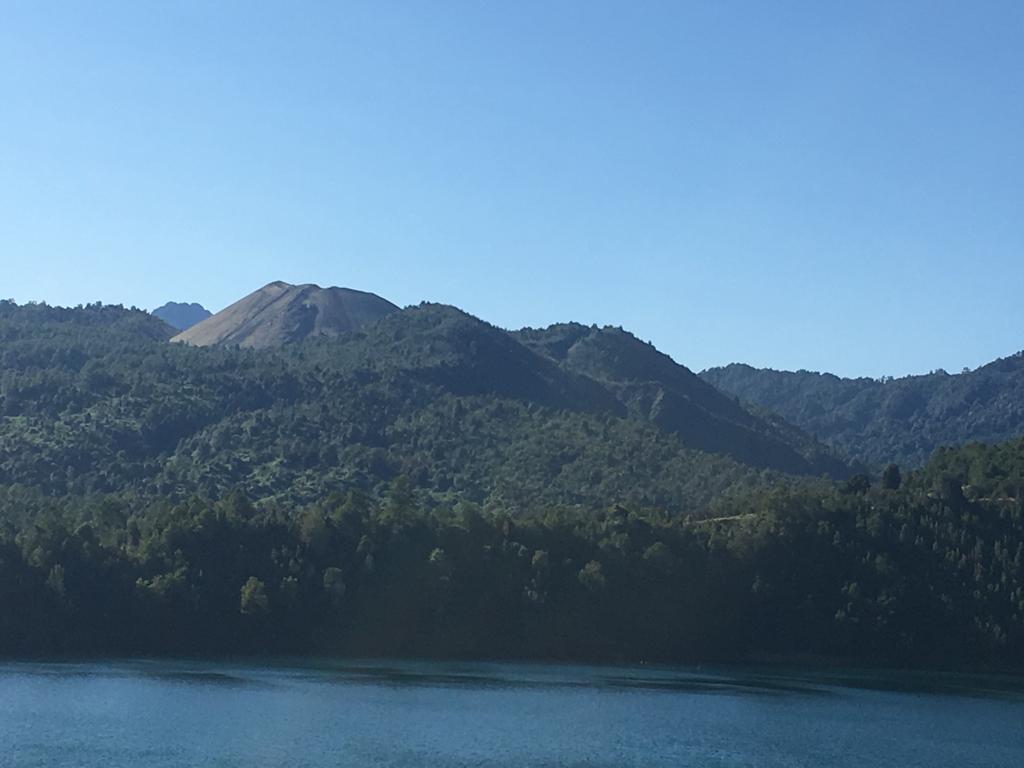 Lucy McGee tweet media