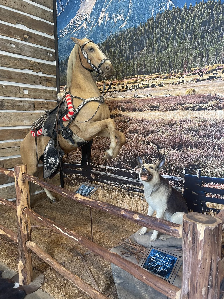 jay777a's tweet photo. @GitRDoneLarry It is a great museum. Did you notice Trigger and Bullet were on display in the gift shop? And yes it really is Trigger. #RoyRogers #HappyTrails https://t.co/UrkAGc1l3J