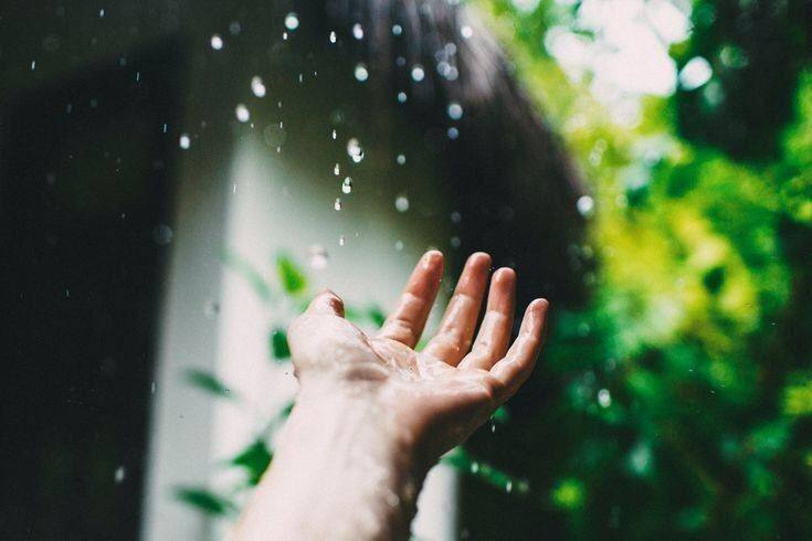 🍃✨

كلُّ الأدعِية الَّتي صَعدَت إِلىٰ السَّماء ستَنزِل يَومًا إِلىٰ الأَرض 

بأبهىٰ صورَةٍ.

« فَسَبِّحْ بِحَمْدِ رَبِّكَ وَاسْتَغْفِرْهُ إِنَّهُ كَانَ تَوَّابًا »

🍃✨
#صباح_الخير