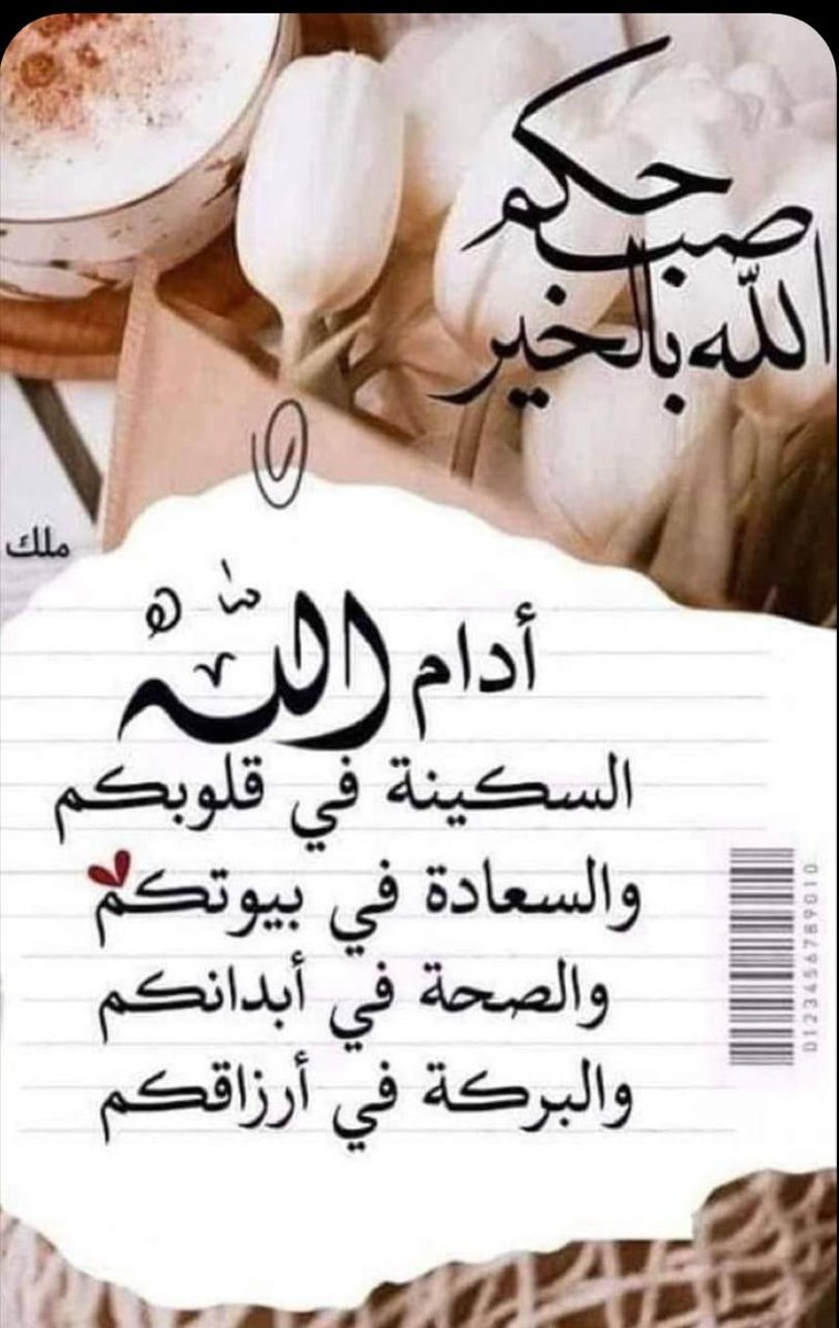 النت شفي خفت حرارته 😂سلطانة القلوب 🎻 tweet media