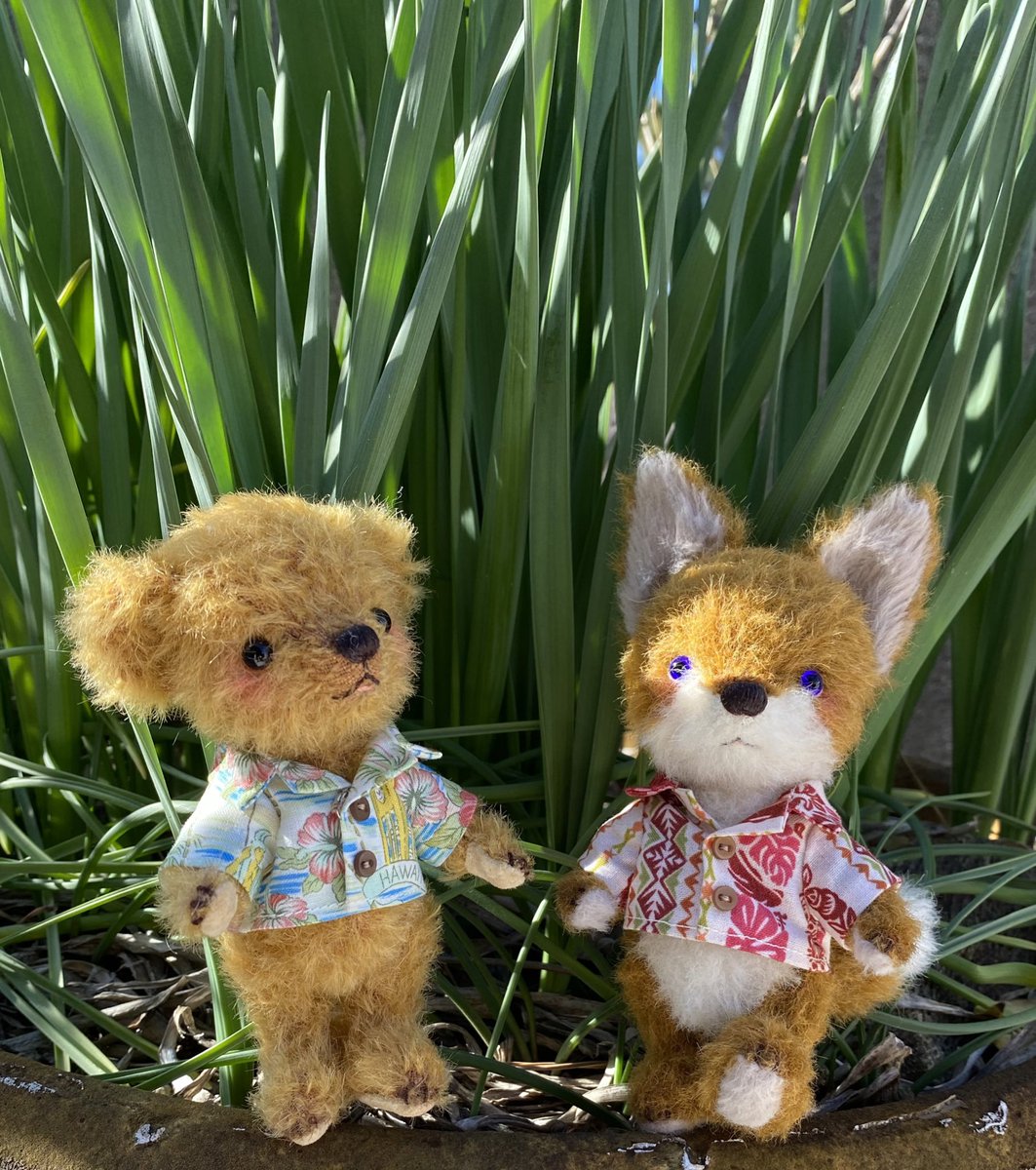 #ベアラボ さんでの作品展は、昨日無事終了致しました。

おかげさまで小さい子達は全てお家が決まりました。ありがとうございます💖

お迎え頂いた皆様、会場まで足を運んで作品を見て頂いた皆様、ツイにて励ましてくださった皆様、全ての皆様に御礼を申し上げます。マハロー😭