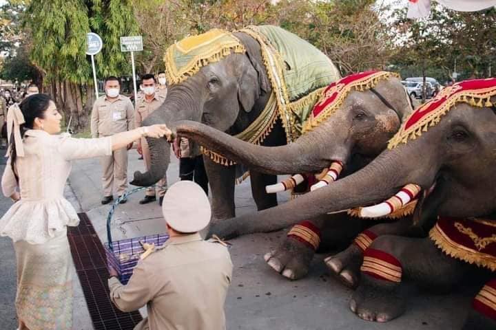 ♥LOVE The king ♥ #เรารักพระเจ้าอยู่หัว tweet media