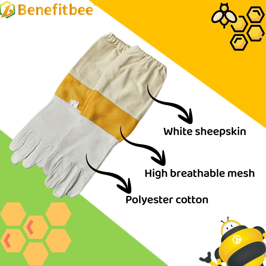 szbenefitbee's tweet image. Essential tools for beekeepers - bee gloves
#beekeepingtools #beekeeping #beekeepers #benefitbee