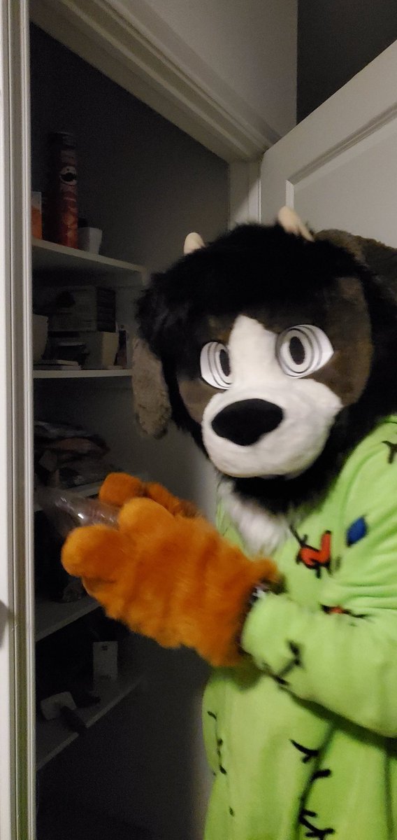 XxStoopidhedxX's tweet photo. I got caught stealing the cookies lmaoooo https://t.co/xDAiDCThqM