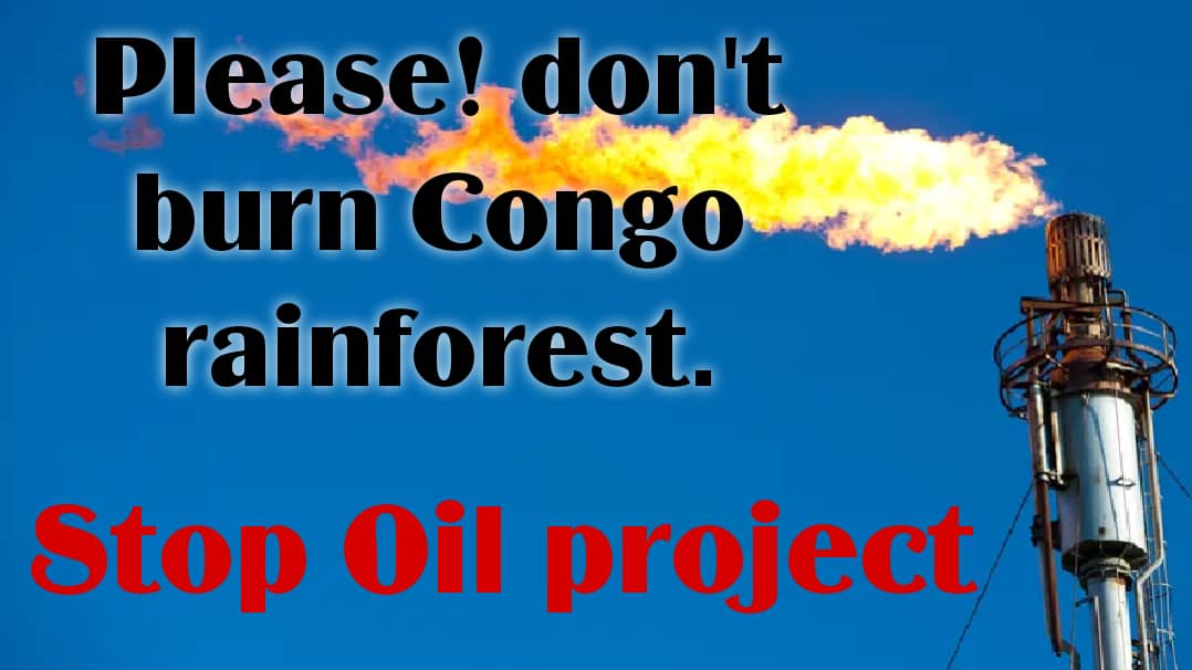 La forêt du bassin du congo est le poumon de la planète!
Ne brûlons pas notre poumon à cause de l'argent.
#FossilFreeDRC 
 #NoOilinVirunga 
#SaveCongoRainforest
 #FossilFreeVirunga
 #AfrikaVuka 
 @PapeEnRdc @Pontifex @Pontifex_fr