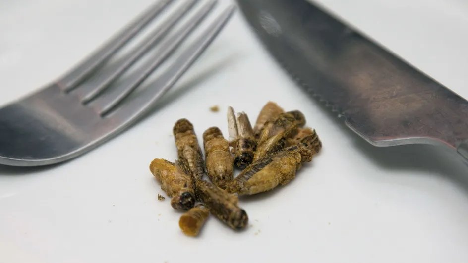 franceinfo tweet media