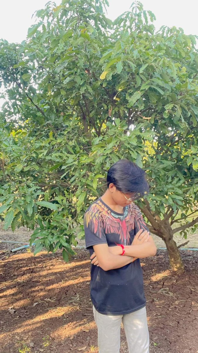 Seng kimheng tweet media