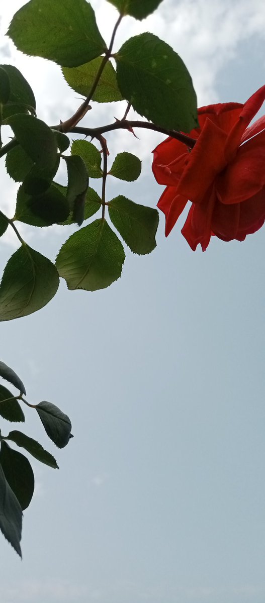 একবুক আকাশ আমার ❤️