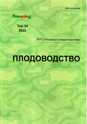 AWBelarus tweet picture
